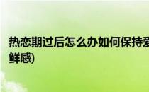 热恋期过后怎么办如何保持爱情新鲜感(如何在热恋期保持新鲜感)