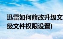 迅雷如何修改升级文件权限(迅雷如何修改升级文件权限设置)