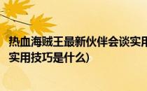 热血海贼王最新伙伴会谈实用技巧(热血海贼王最新伙伴会谈实用技巧是什么)