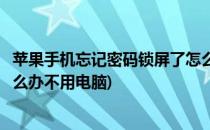 苹果手机忘记密码锁屏了怎么办(苹果手机忘记密码锁屏了怎么办不用电脑)