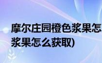 摩尔庄园橙色浆果怎么获得(摩尔庄园的橙色浆果怎么获取)