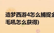 造梦西游4怎么捕捉金毛吼(造梦西游4手游金毛吼怎么获得)