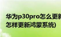 华为p30pro怎么更新鸿蒙系统(华为p30pro怎样更新鸿蒙系统)