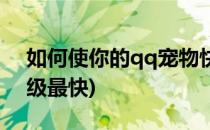 如何使你的qq宠物快速成长(qq宠物怎么升级最快)