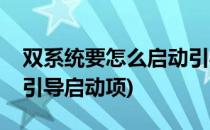 双系统要怎么启动引导设置(双系统怎么设置引导启动项)