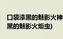 口袋漆黑的魅影火神虫在哪里抓(口袋妖怪漆黑的魅影火炬虫)