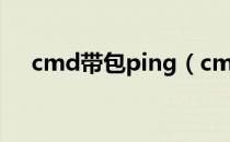 cmd带包ping（cmd的ping命令加包）