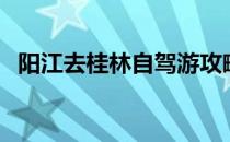 阳江去桂林自驾游攻略（桂林自驾游攻略）