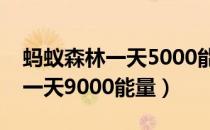 蚂蚁森林一天5000能量怎么搞的（蚂蚁森林一天9000能量）