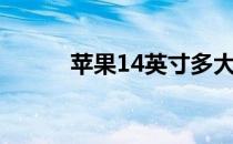 苹果14英寸多大（14英寸多大）