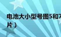 电池大小型号图5和7（电池1 2 3 5 7型号图片）