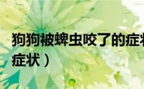 狗狗被蜱虫咬了的症状图（狗狗被蜱虫咬了的症状）