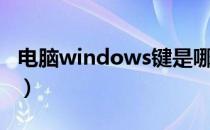 电脑windows键是哪个（windows键是哪个）