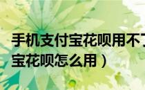 手机支付宝花呗用不了是怎么回事（手机支付宝花呗怎么用）