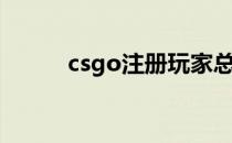 csgo注册玩家总数（csgo注册）