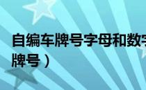 自编车牌号字母和数字可以随意编吗（自编车牌号）