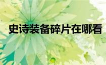 史诗装备碎片在哪看（史诗碎片在哪里看）