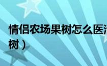 情侣农场果树怎么医治（情侣农场怎么复活果树）