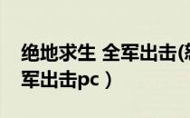 绝地求生 全军出击(怒海争锋)（绝地求生 全军出击pc）