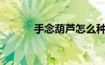 手念葫芦怎么种（葫芦怎么种）