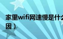 家里wifi网速慢是什么原因（网速慢是什么原因）