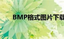 BMP格式图片下载（bmp格式图片）