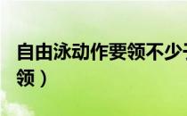 自由泳动作要领不少于500字（自由泳动作要领）