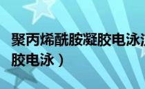 聚丙烯酰胺凝胶电泳注意事项（聚丙烯酰胺凝胶电泳）