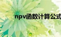 npv函数计算公式（npv计算公式）