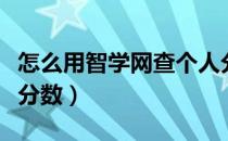 怎么用智学网查个人分数（怎样登入智学网查分数）