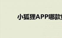 小狐狸APP哪款好（小狐狸app）