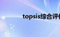 topsis综合评价法（topsis）