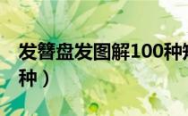 发簪盘发图解100种短发（发簪盘发图解100种）