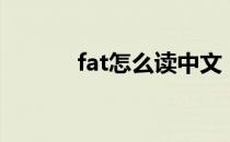 fat怎么读中文（fat怎么读音）