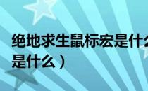 绝地求生鼠标宏是什么意思（绝地求生鼠标宏是什么）