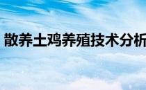 散养土鸡养殖技术分析（散养土鸡养殖技术）