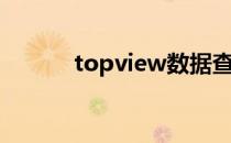 topview数据查询（topview）