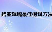 路亚翘嘴最佳假饵方法（路亚翘嘴最佳假饵）