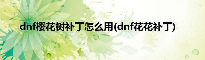 dnf樱花树补丁怎么用(dnf花花补丁)