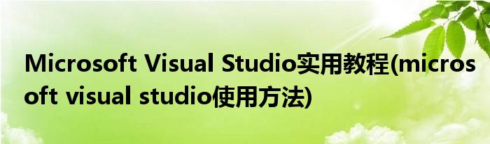 Microsoft Visual Studio实用教程(microsoft visual studio使用方法)