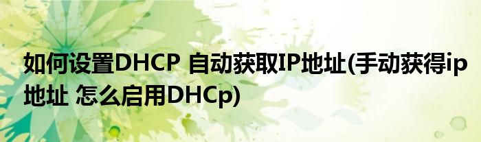 如何设置DHCP 自动获取IP地址(手动获得ip地址 怎么启用DHCp)
