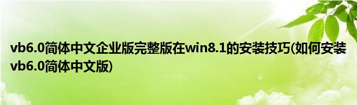vb6.0简体中文企业版完整版在win8.1的安装技巧(如何安装vb6.0简体中文版)