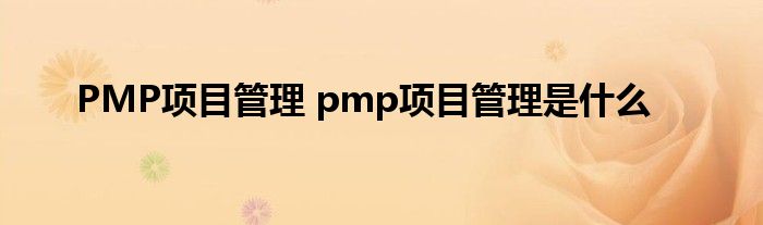 PMP项目管理 pmp项目管理是什么