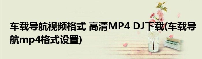 车载导航视频格式 高清MP4 DJ下载(车载导航mp4格式设置)