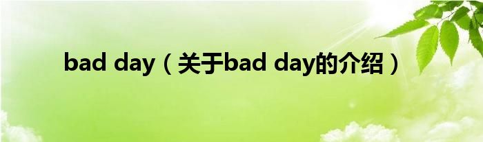 bad day（关于bad day的介绍）
