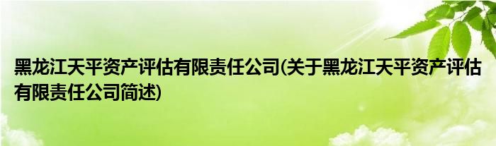 黑龙江天平资产评估有限责任公司(关于黑龙江天平资产评估有限责任公司简述)