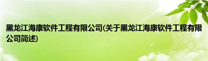 黑龙江海康软件工程有限公司(关于黑龙江海康软件工程有限公司简述)
