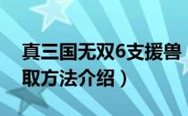 真三国无双6支援兽（真三国无双6支援兽获取方法介绍）