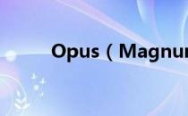 Opus（Magnum新手操作教程）