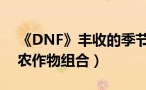 《DNF》丰收的季节合成大全（丰收的季节农作物组合）